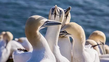 米乐下载：开启极简、智能、可信赖的应用下载新纪元