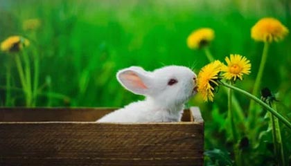 体育平台-杜锋社媒分享为徐杰庆生片段：生日快乐小徐